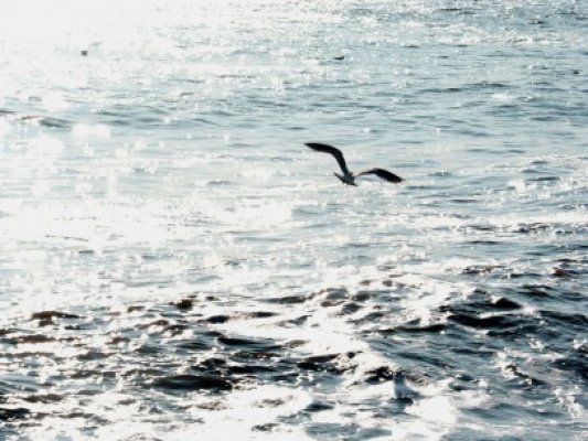 Ne aşteaptă un Revelion cu temperaturi pozitive